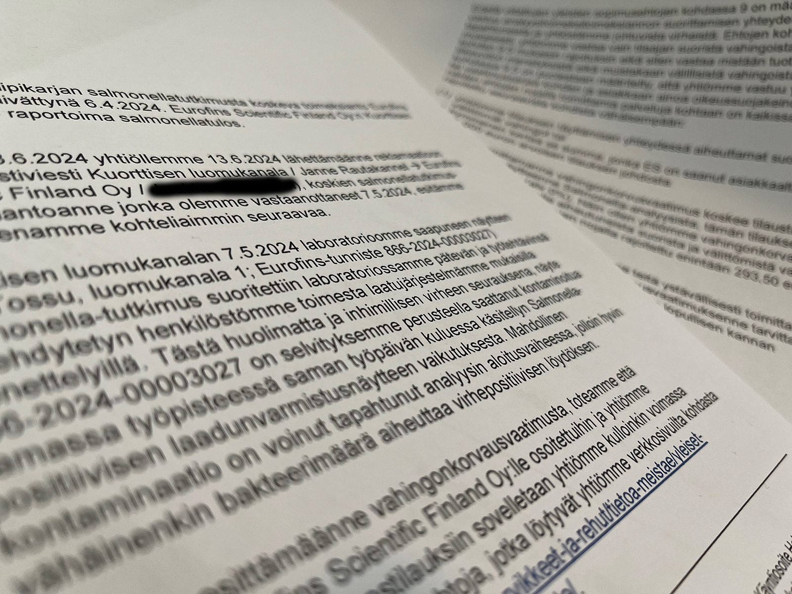 Meillä ei ole koskaan ollut salmonellaa, vaan se oli laboratorion virhe